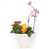 Plastic Watering Kits