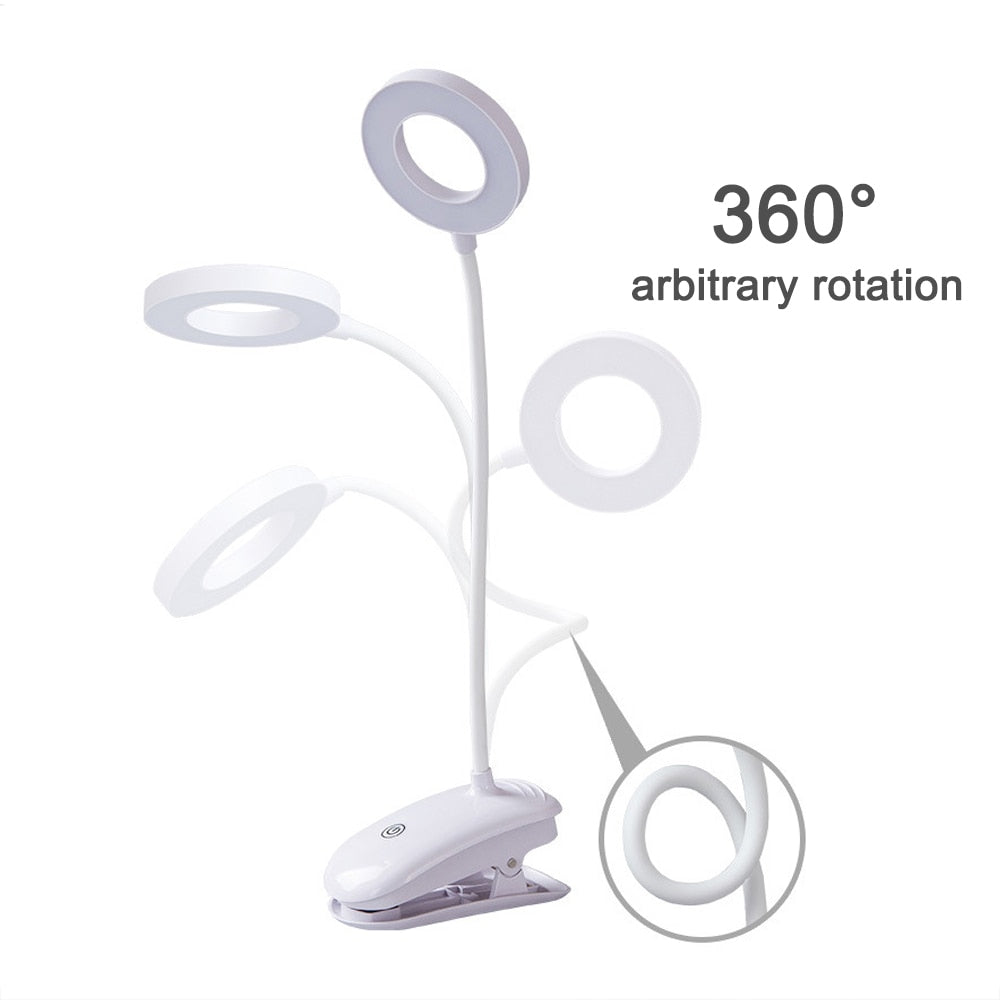 Portable LED Desk Lamp