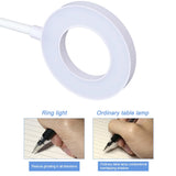 Portable LED Desk Lamp