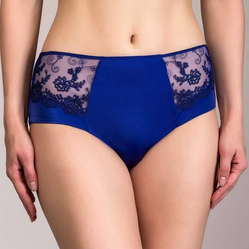 Semi Sheer Brief Panty  Feel Glamorous