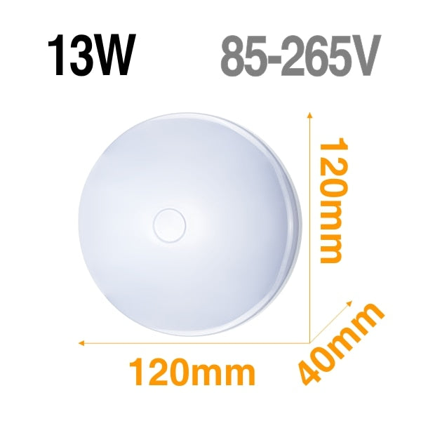 LED Ceiling Light