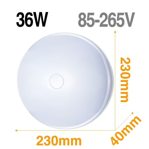 LED Ceiling Light