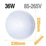 LED Ceiling Light