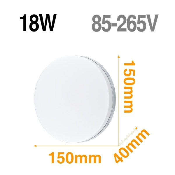 LED Ceiling Light