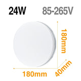 LED Ceiling Light