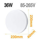 LED Ceiling Light