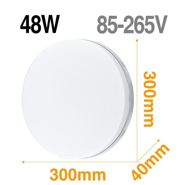 LED Ceiling Light
