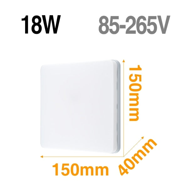 LED Ceiling Light