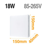 LED Ceiling Light
