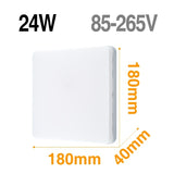 LED Ceiling Light