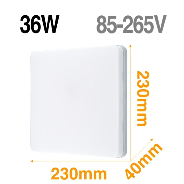 LED Ceiling Light