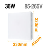 LED Ceiling Light