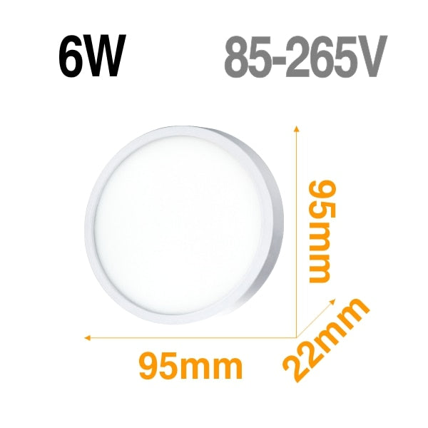 LED Ceiling Light