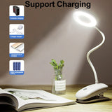 Portable LED Desk Lamp
