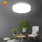 LED Ceiling Light