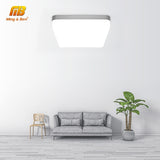 LED Ceiling Light