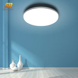 LED Ceiling Light