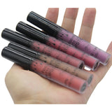 Mist Lip Gloss Silky Tint Lipstick