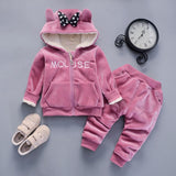 Cashmere Hooded Children Two Piece Winter Pants Suit