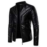 Mens Casual Stand Collar Autumn To Winter Leather Jacket